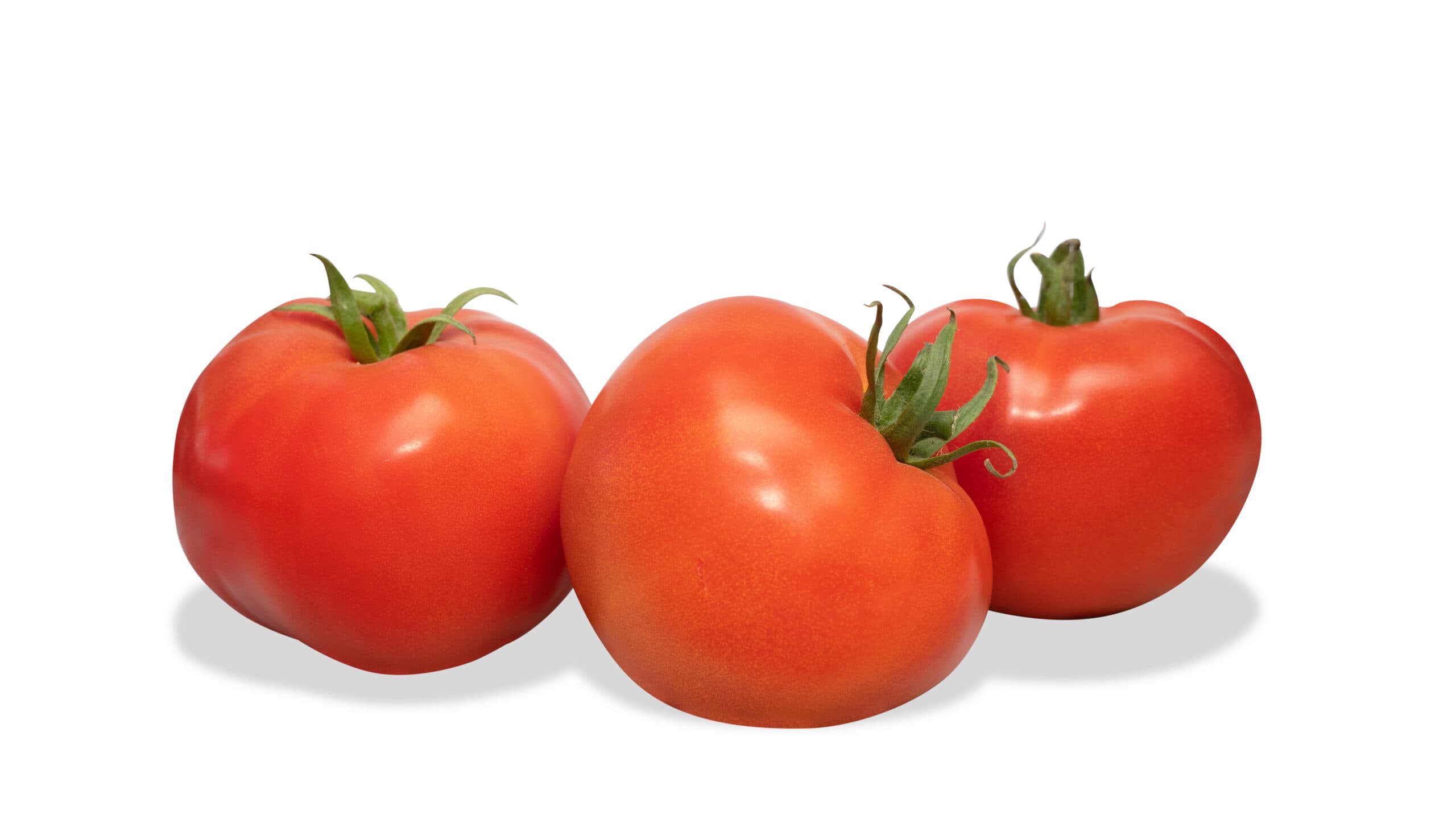 Retoque_USAT14405-Final-scaled (1)-1.jpg