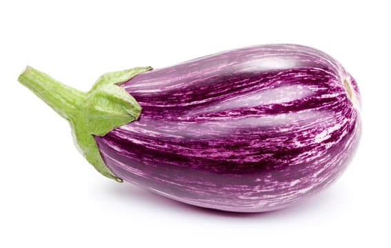 brinjal-1.jpg